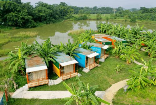 新春采摘，田園趣游 金穗與九龍?zhí)渡鷳B(tài)園兩日樂(lè)活指南